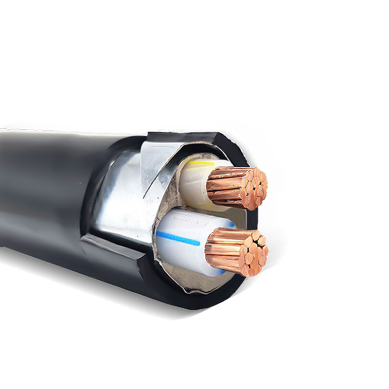 YJLV 2 Cores cable product
